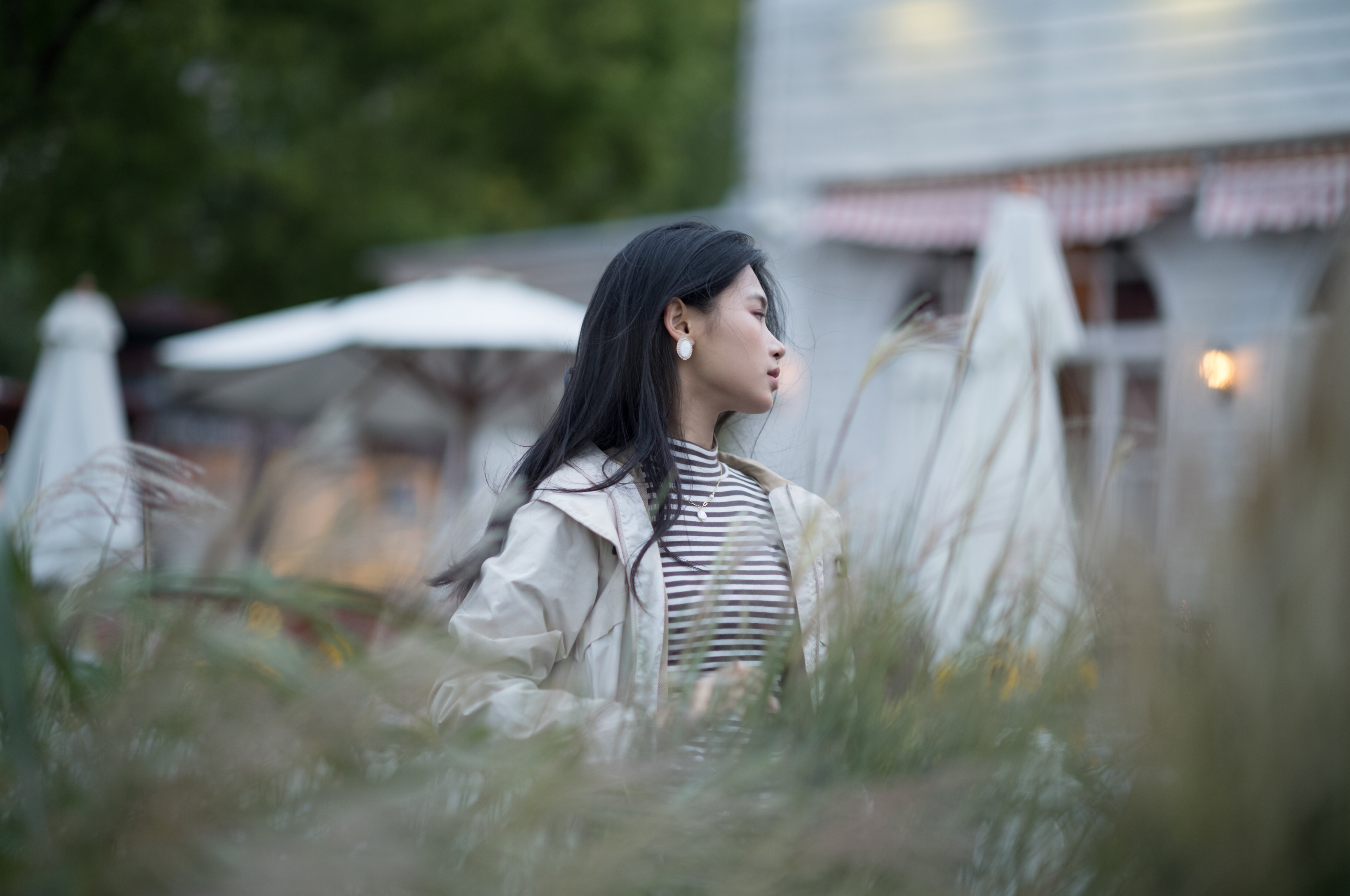 Among the riverside grasses at dusk, Shanghai, 2024