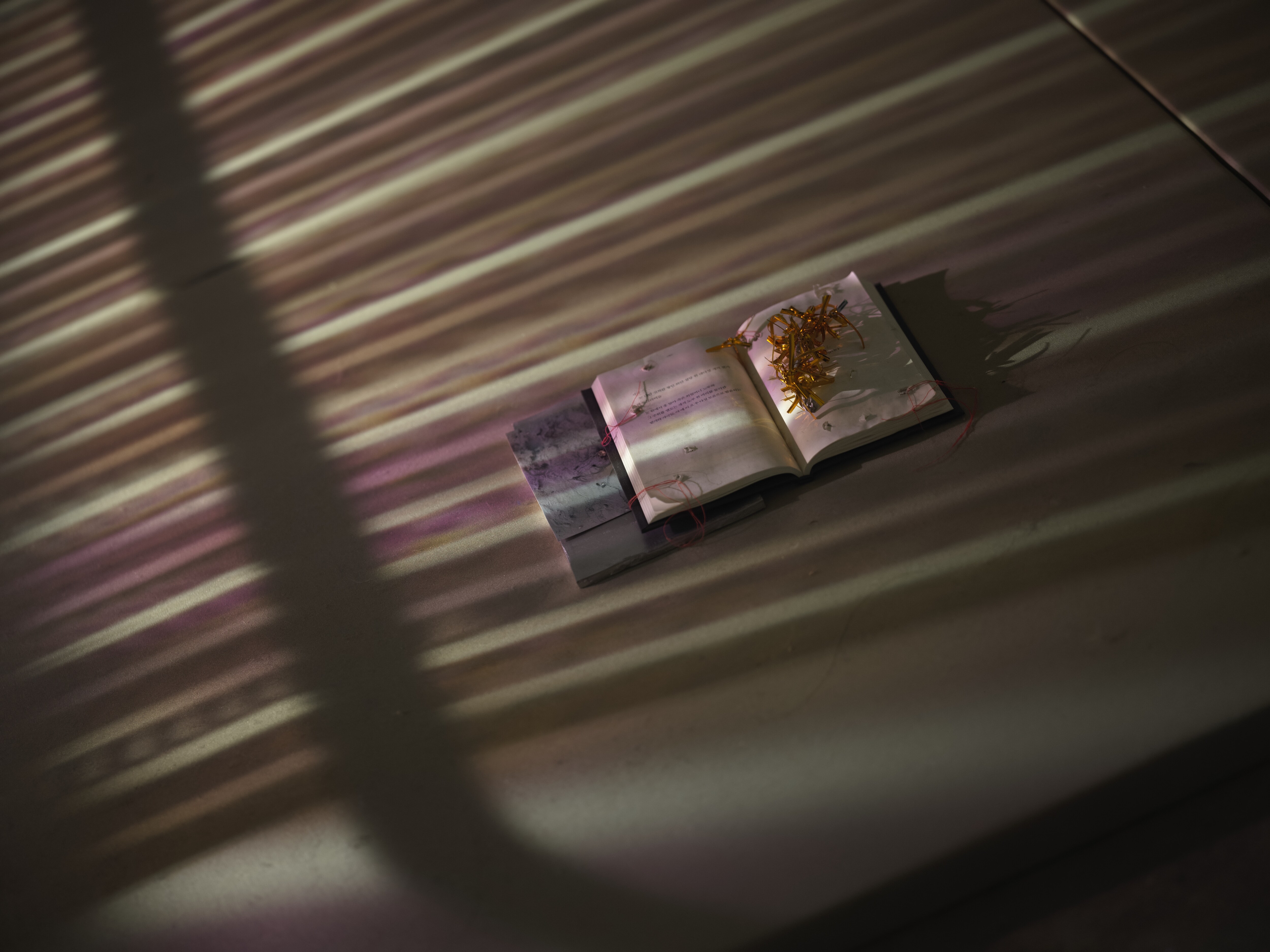 Exhibit still life 21