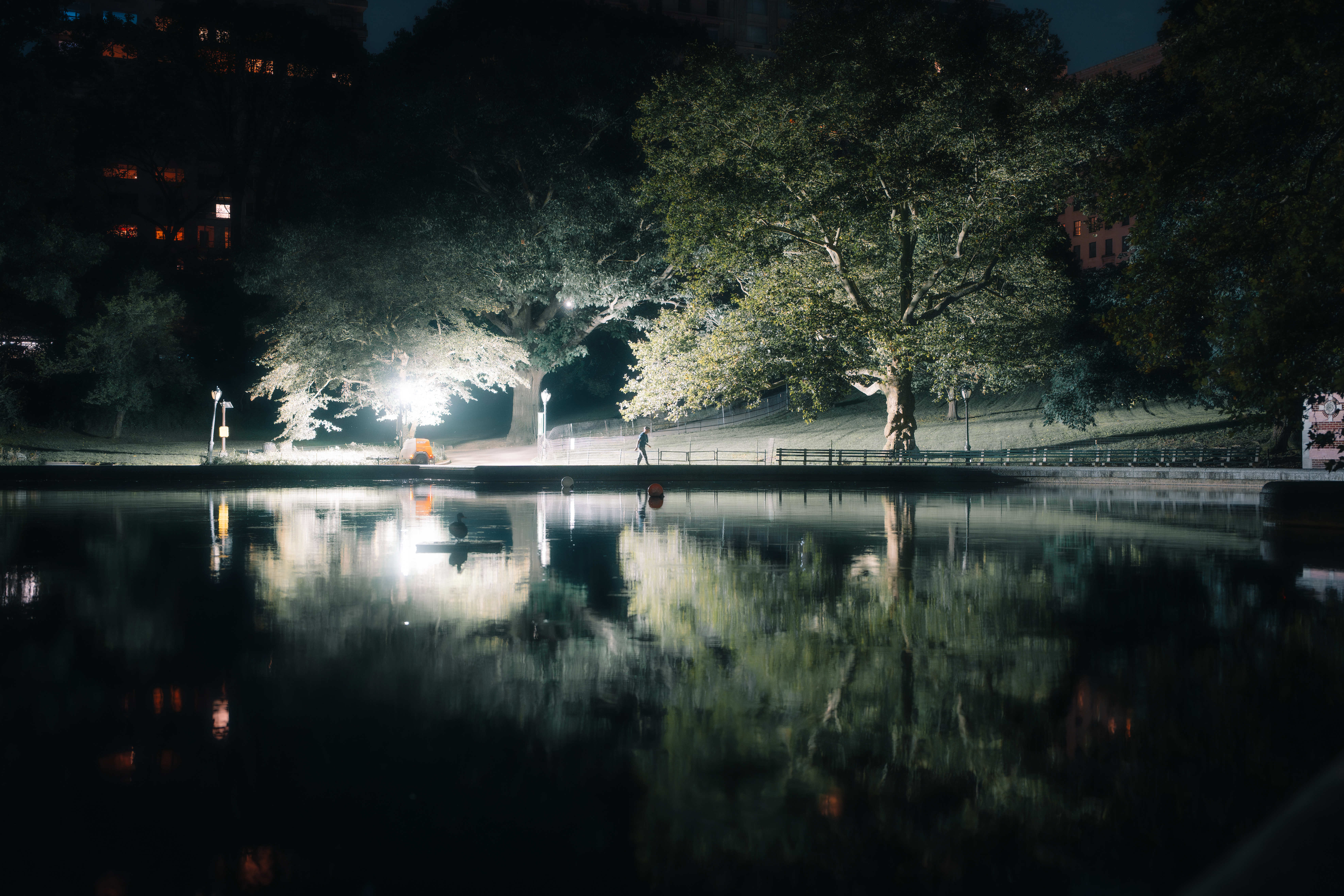 Serene lake reflection in Central Park