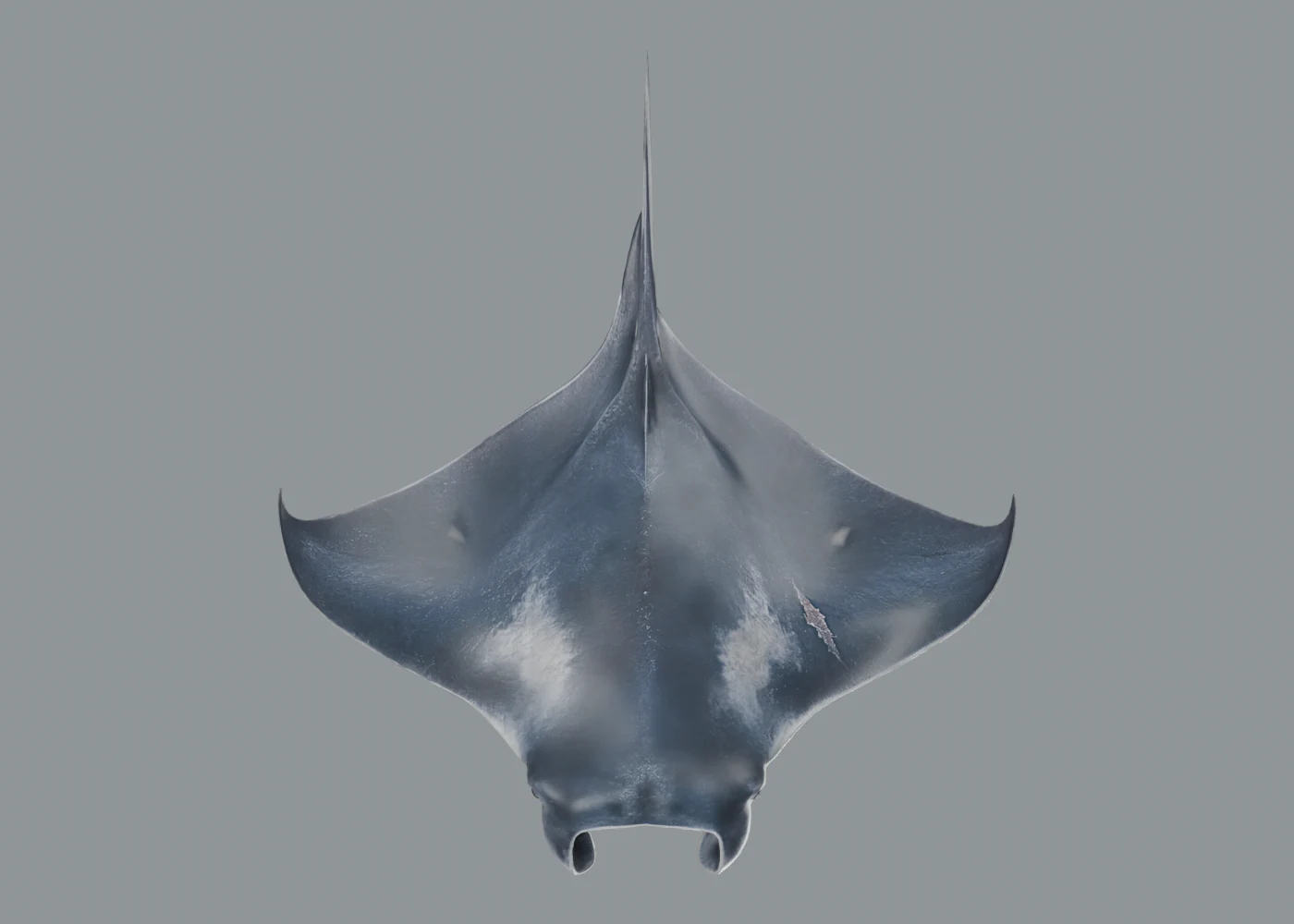 Tripo reconstruction · the model before scene integration.