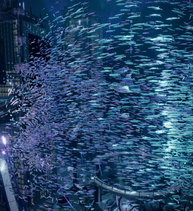 Silver turns travel through the shoal.